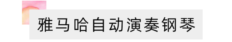 活动报道 | “科技助力，跨越时空”，小鹿纯子携手刘明康共享中日音乐盛宴